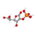 Magnesium Ascorbyl Phosphate